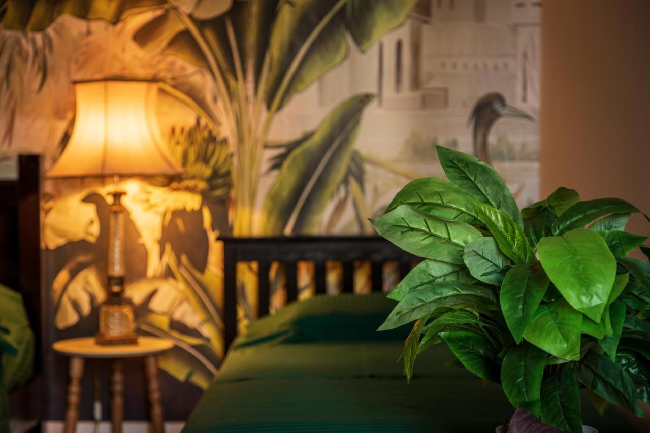 The Tropical House Tirana Διαμέρισμα Εξωτερικό φωτογραφία